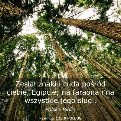Picture 03 - Psalmów 135:9 POLUBG - Zesłał znaki i cuda pośród ciebie, Egipcie; - Bible Verse Picture
