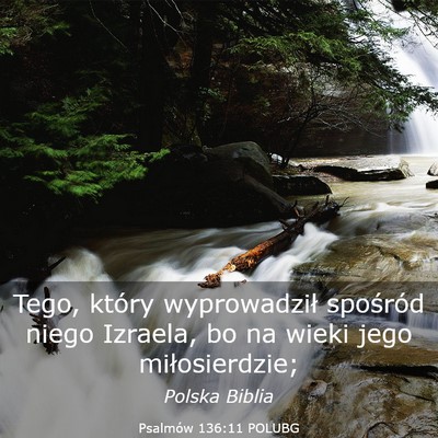 Picture 03 - Psalmów 136:11 POLUBG - Tego, który wyprowadził spośród niego - Bible Verse Picture