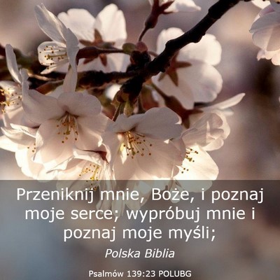 Picture 03 - Psalmów 139:23 POLUBG - Przeniknij mnie, Boże, i poznaj moje serce; - Bible Verse Picture