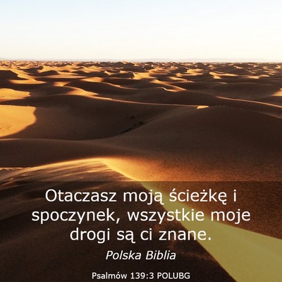 Picture 03 - Psalmów 139:3 POLUBG - Otaczasz moją ścieżkę i spoczynek, wszystkie - Bible Verse Picture