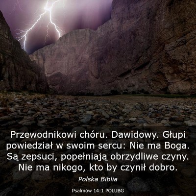 Picture 03 - Psalmów 14:1 POLUBG - Przewodnikowi chóru. Dawidowy. Głupi - Bible Verse Picture