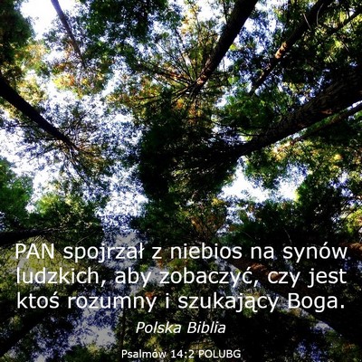 Picture 03 - Psalmów 14:2 POLUBG - PAN spojrzał z niebios na synów ludzkich, aby - Bible Verse Picture