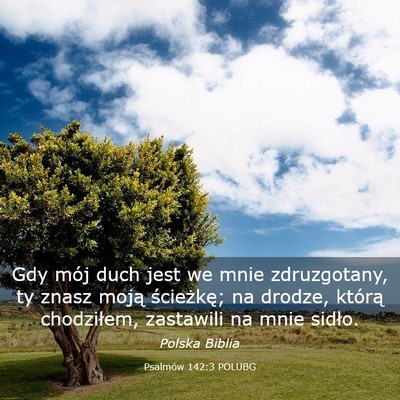Picture 03 - Psalmów 142:3 POLUBG - Gdy mój duch jest we mnie zdruzgotany, ty znasz - Bible Verse Picture