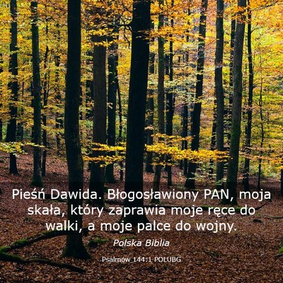 Picture 03 - Psalmów 144:1 POLUBG - Pieśń Dawida. Błogosławiony PAN, moja skała, - Bible Verse Picture