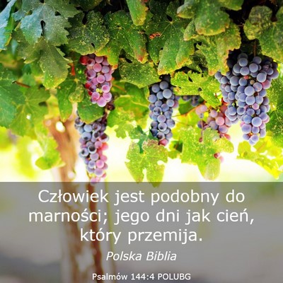 Picture 03 - Psalmów 144:4 POLUBG - Człowiek jest podobny do marności; jego dni jak - Bible Verse Picture