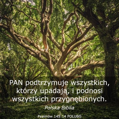 Picture 03 - Psalmów 145:14 POLUBG - PAN podtrzymuje wszystkich, którzy upadają, i - Bible Verse Picture