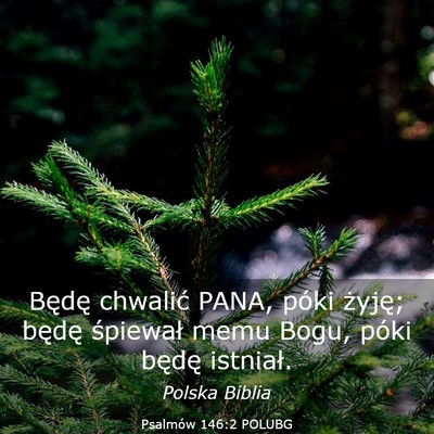 Picture 03 - Psalmów 146:2 POLUBG - Będę chwalić PANA, póki żyję; będę - Bible Verse Picture