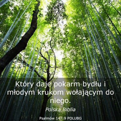 Picture 03 - Psalmów 147:9 POLUBG - Który daje pokarm bydłu i młodym krukom - Bible Verse Picture