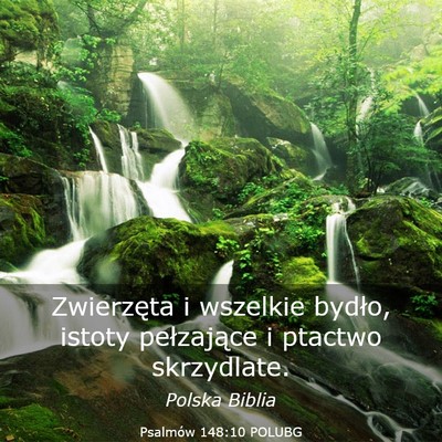 Picture 03 - Psalmów 148:10 POLUBG - Zwierzęta i wszelkie bydło, istoty pełzające - Bible Verse Picture