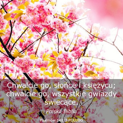 Picture 03 - Psalmów 148:3 POLUBG - Chwalcie go, słońce i księżycu; chwalcie go, - Bible Verse Picture