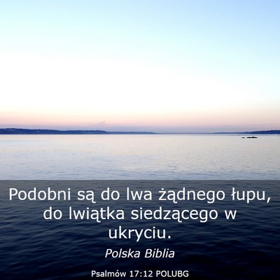 Picture 03 - Psalmów 17:12 POLUBG - Podobni są do lwa żądnego łupu, do lwiątka - Bible Verse Picture