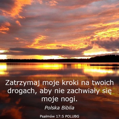 Picture 03 - Psalmów 17:5 POLUBG - Zatrzymaj moje kroki na twoich drogach, aby nie - Bible Verse Picture