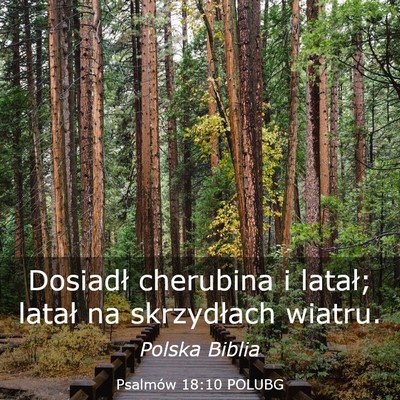 Picture 03 - Psalmów 18:10 POLUBG - Dosiadł cherubina i latał; latał na - Bible Verse Picture