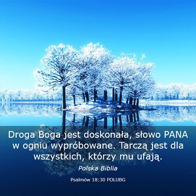 Picture 03 - Psalmów 18:30 POLUBG - Droga Boga jest doskonała, słowo PANA w ogniu - Bible Verse Picture