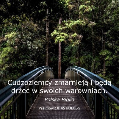 Picture 03 - Psalmów 18:45 POLUBG - Cudzoziemcy zmarnieją i będą drżeć w swoich - Bible Verse Picture