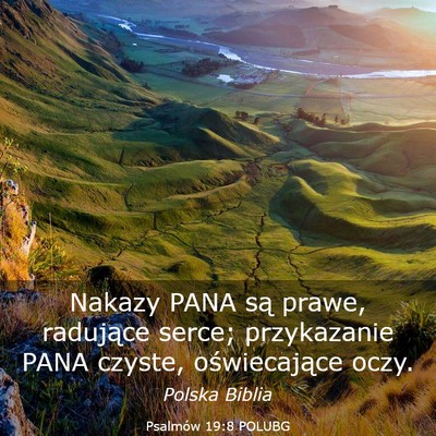 Picture 03 - Psalmów 19:8 POLUBG - Nakazy PANA są prawe, radujące serce; - Bible Verse Picture