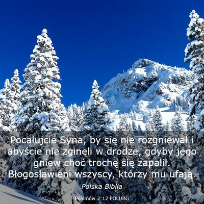 Picture 03 - Psalmów 2:12 POLUBG - Pocałujcie Syna, by się nie rozgniewał i - Bible Verse Picture