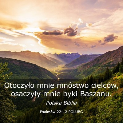 Picture 03 - Psalmów 22:12 POLUBG - Otoczyło mnie mnóstwo cielców, osaczyły mnie - Bible Verse Picture