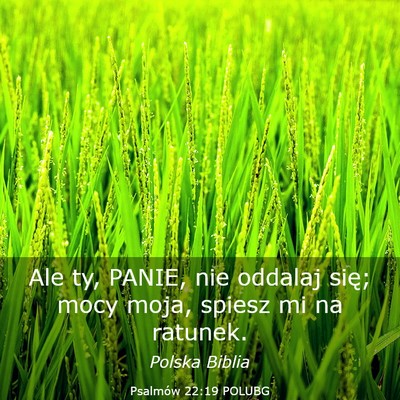 Picture 03 - Psalmów 22:19 POLUBG - Ale ty, PANIE, nie oddalaj się; mocy moja, - Bible Verse Picture