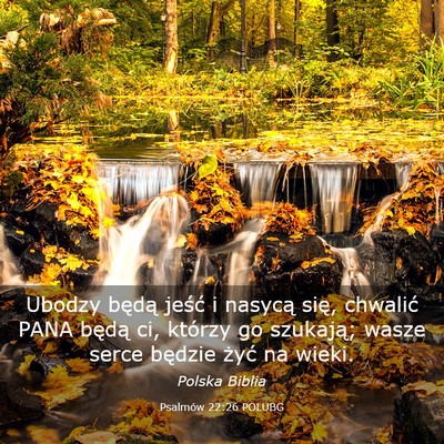 Picture 03 - Psalmów 22:26 POLUBG - Ubodzy będą jeść i nasycą się, chwalić - Bible Verse Picture