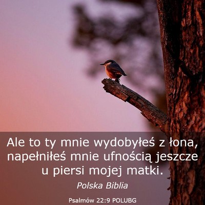 Picture 03 - Psalmów 22:9 POLUBG - Ale to ty mnie wydobyłeś z łona, napełniłeś - Bible Verse Picture