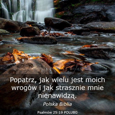 Picture 03 - Psalmów 25:19 POLUBG - Popatrz, jak wielu jest moich wrogów i jak - Bible Verse Picture