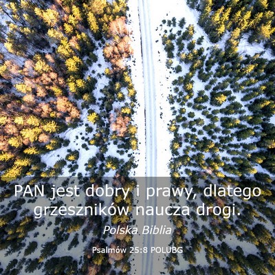 Picture 03 - Psalmów 25:8 POLUBG - PAN jest dobry i prawy, dlatego grzeszników - Bible Verse Picture