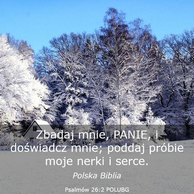 Picture 03 - Psalmów 26:2 POLUBG - Zbadaj mnie, PANIE, i doświadcz mnie; poddaj - Bible Verse Picture