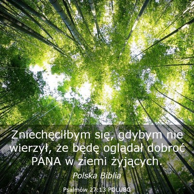 Picture 03 - Psalmów 27:13 POLUBG - Zniechęciłbym się, gdybym nie wierzył, że - Bible Verse Picture