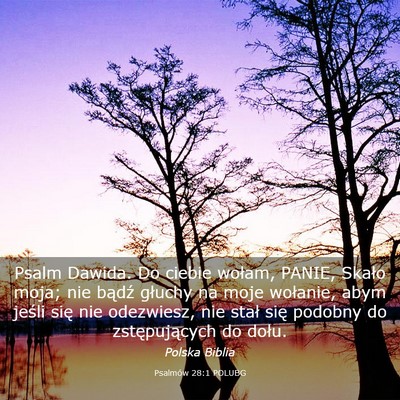 Picture 03 - Psalmów 28:1 POLUBG - Psalm Dawida. Do ciebie wołam, PANIE, Skało - Bible Verse Picture