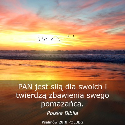 Picture 03 - Psalmów 28:8 POLUBG - PAN jest siłą dla swoich i twierdzą zbawienia - Bible Verse Picture