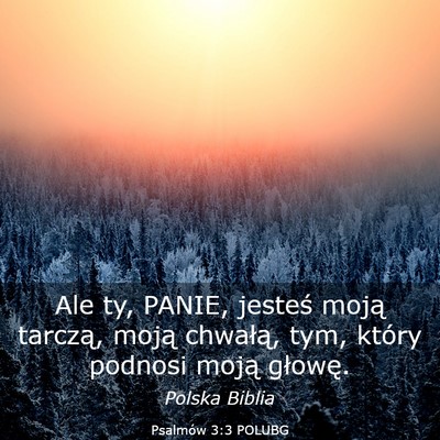 Picture 03 - Psalmów 3:3 POLUBG - Ale ty, PANIE, jesteś moją tarczą, moją - Bible Verse Picture