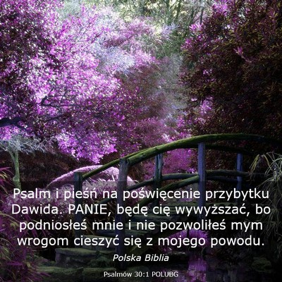 Picture 03 - Psalmów 30:1 POLUBG - Psalm i pieśń na poświęcenie przybytku - Bible Verse Picture