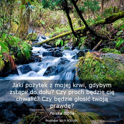 Picture 03 - Psalmów 30:9 POLUBG - Jaki pożytek z mojej krwi, gdybym zstąpił do - Bible Verse Picture