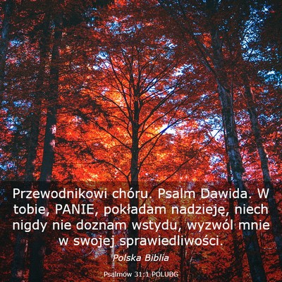 Picture 03 - Psalmów 31:1 POLUBG - Przewodnikowi chóru. Psalm Dawida. W tobie, - Bible Verse Picture