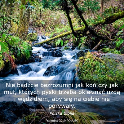 Picture 03 - Psalmów 32:9 POLUBG - Nie bądźcie bezrozumni jak koń czy jak muł, - Bible Verse Picture