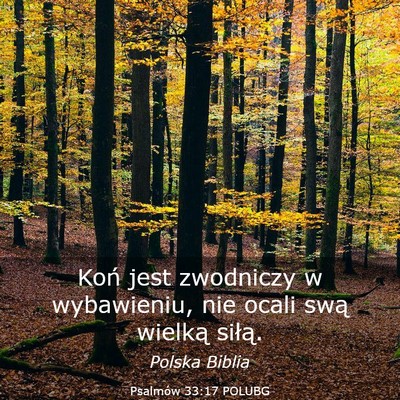 Picture 03 - Psalmów 33:17 POLUBG - Koń jest zwodniczy w wybawieniu, nie ocali swą - Bible Verse Picture