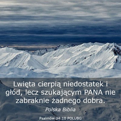 Picture 03 - Psalmów 34:10 POLUBG - Lwięta cierpią niedostatek i głód, lecz - Bible Verse Picture