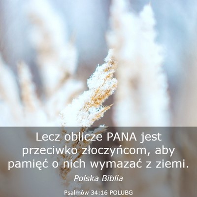 Picture 03 - Psalmów 34:16 POLUBG - Lecz oblicze PANA jest przeciwko złoczyńcom, - Bible Verse Picture