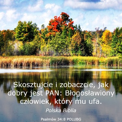 Picture 03 - Psalmów 34:8 POLUBG - Skosztujcie i zobaczcie, jak dobry jest PAN: - Bible Verse Picture