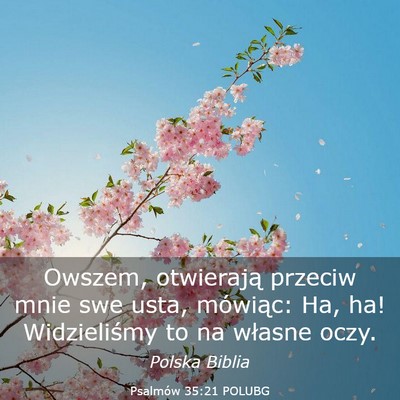 Picture 03 - Psalmów 35:21 POLUBG - Owszem, otwierają przeciw mnie swe usta, - Bible Verse Picture