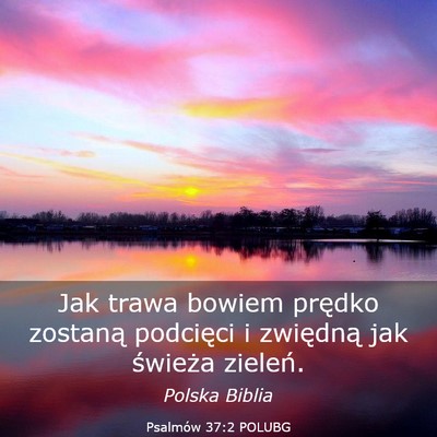Picture 03 - Psalmów 37:2 POLUBG - Jak trawa bowiem prędko zostaną podcięci i - Bible Verse Picture