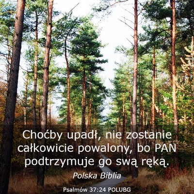 Picture 03 - Psalmów 37:24 POLUBG - Choćby upadł, nie zostanie całkowicie - Bible Verse Picture