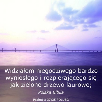 Picture 03 - Psalmów 37:35 POLUBG - Widziałem niegodziwego bardzo wyniosłego i - Bible Verse Picture