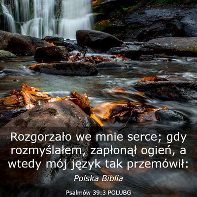 Picture 03 - Psalmów 39:3 POLUBG - Rozgorzało we mnie serce; gdy rozmyślałem, - Bible Verse Picture
