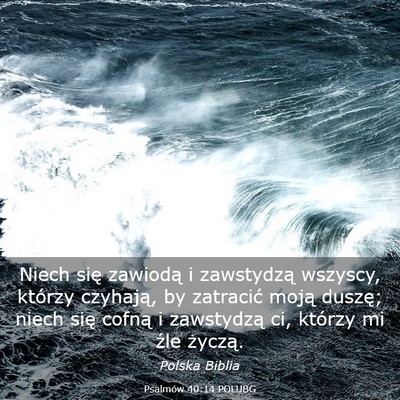 Picture 03 - Psalmów 40:14 POLUBG - Niech się zawiodą i zawstydzą wszyscy, którzy - Bible Verse Picture