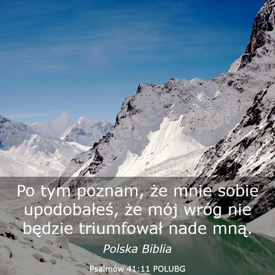 Picture 03 - Psalmów 41:11 POLUBG - Po tym poznam, że mnie sobie upodobałeś, że - Bible Verse Picture