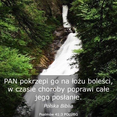 Picture 03 - Psalmów 41:3 POLUBG - PAN pokrzepi go na łożu boleści, w czasie - Bible Verse Picture