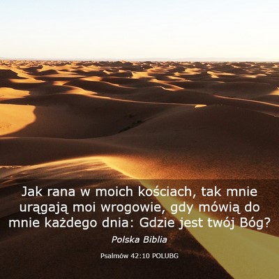 Picture 03 - Psalmów 42:10 POLUBG - Jak rana w moich kościach, tak mnie urągają - Bible Verse Picture