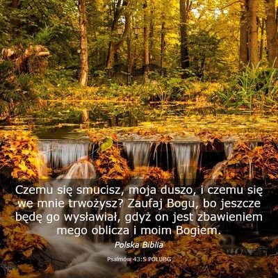 Picture 03 - Psalmów 43:5 POLUBG - Czemu się smucisz, moja duszo, i czemu się we - Bible Verse Picture